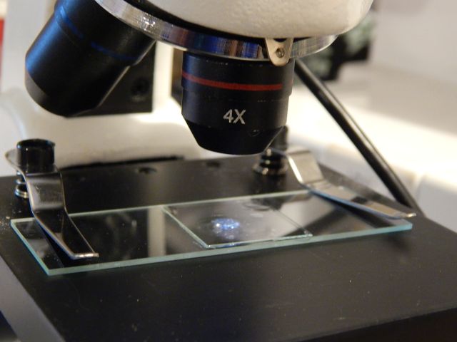 Close-up of a microscope examining a fabric sample on a slide